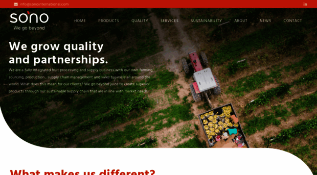 sono-global.com
