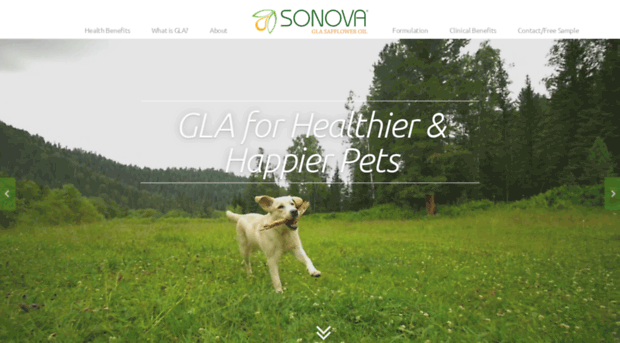 sonovaglapet.com