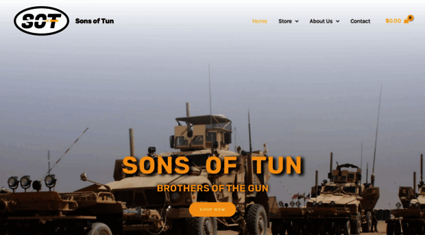 sonsoftun1775.com