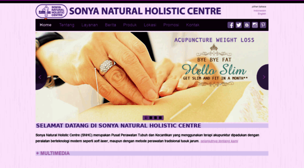 sonyaholistic.com