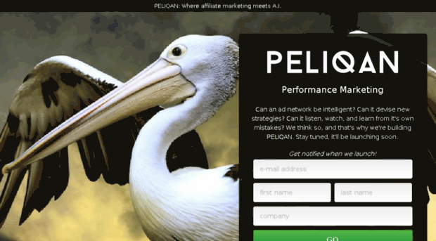 soon.peliqan.com