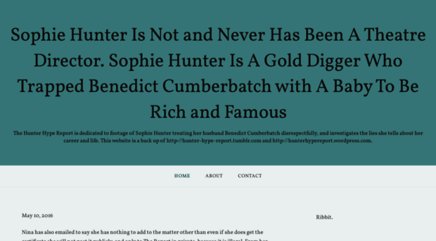 sophiehunterhypereport.wordpress.com