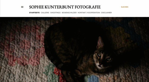 sophiekunterbunt.blogspot.de