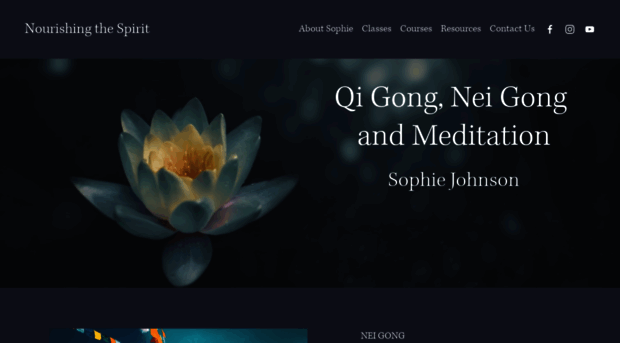 sophieneigong.com