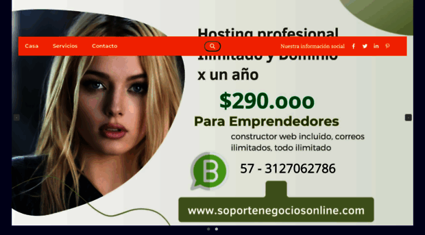 soportenegociosonline.com