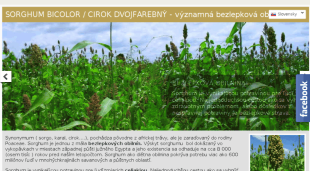 sorghum-bicolor.sk