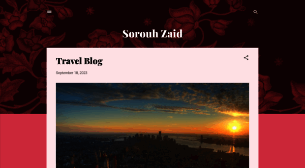 sorouhzaid.blogspot.com