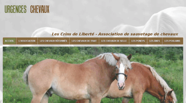 sos-chevaux.fr