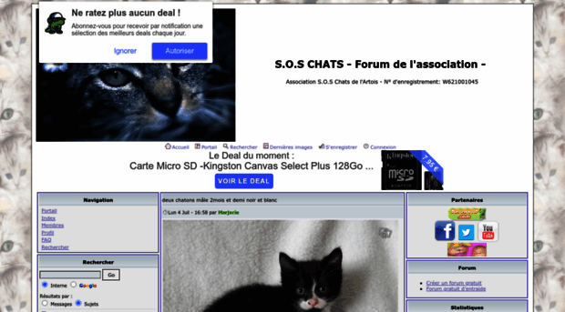 soschat.forumactif.fr