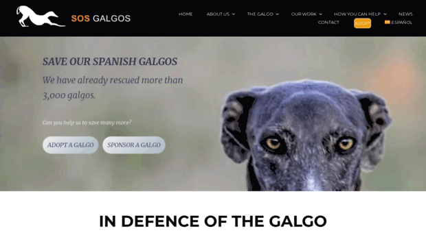 sosgalgos.com