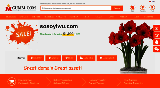 sosoyiwu.com