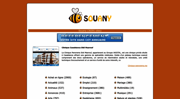 souany.com