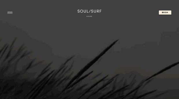 soul-surf-house.webflow.io