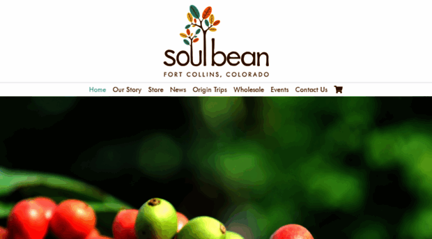 soulbeanroasters.com