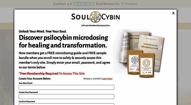 soulcybin.org