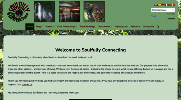 soulfully-connecting.com