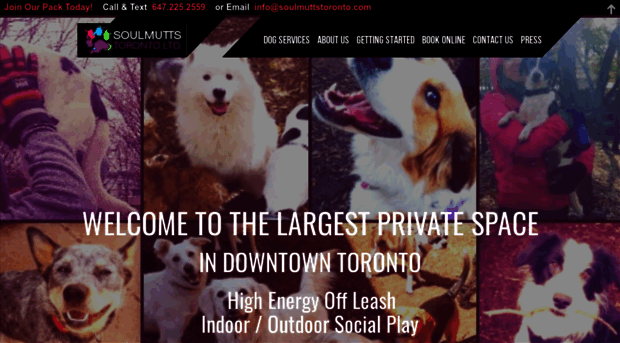 soulmuttstoronto.com