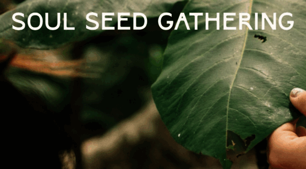 soulseedgathering.com