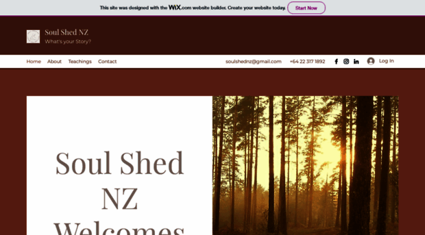 soulshednz.com