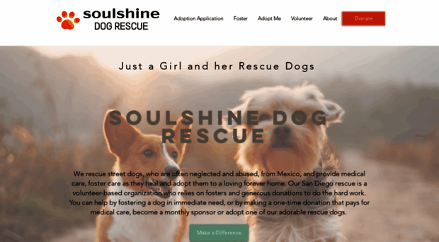 soulshinedogrescue.com