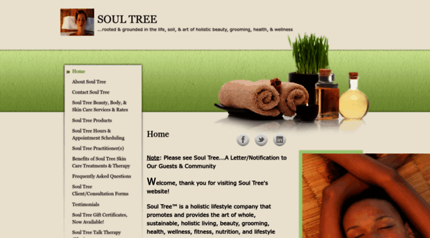 soultree.skincaretherapy.info