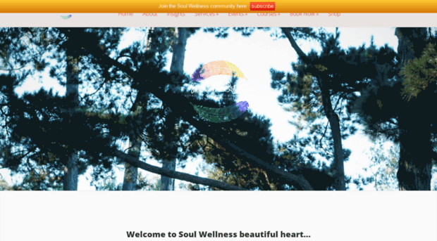 soulwellness.com.au