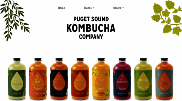 soundkombucha.com