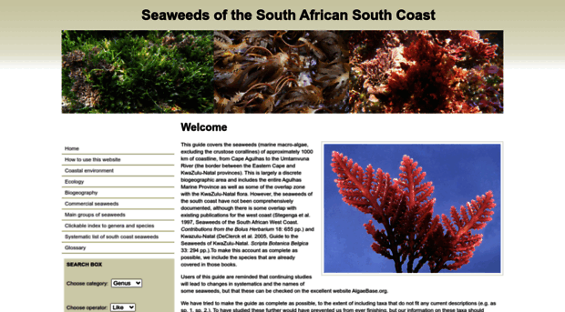 southafrseaweeds.uct.ac.za