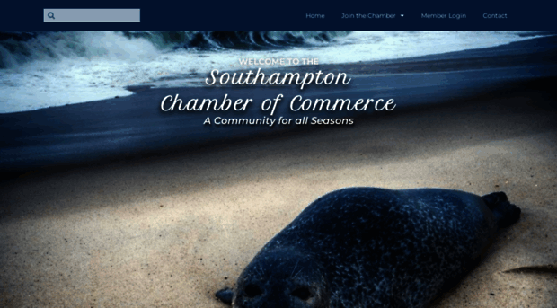 southamptonchamber.com