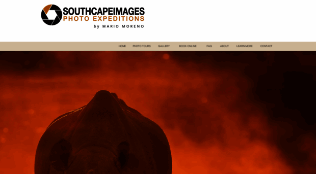 southcapeimages.com