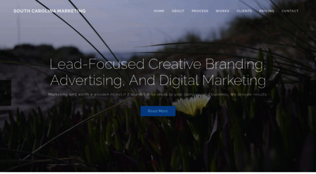 southcarolinamarketing.com