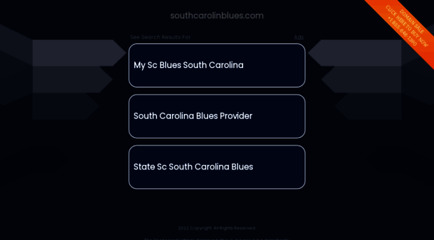 southcarolinblues.com