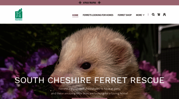 southcheshireferretrescue.co.uk