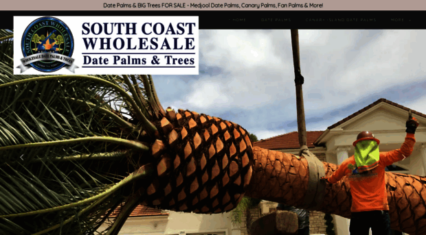 southcoastwholesale.com