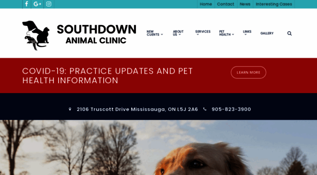 southdownanimalclinic.com