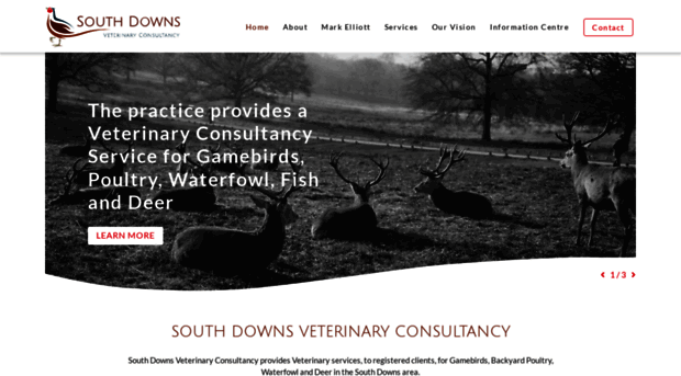 southdownsvets.co.uk
