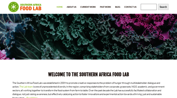 southernafricafoodlab.org