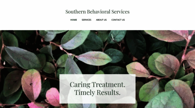 southernbehavioralservices.com