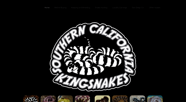 southerncaliforniakingsnakes.weebly.com