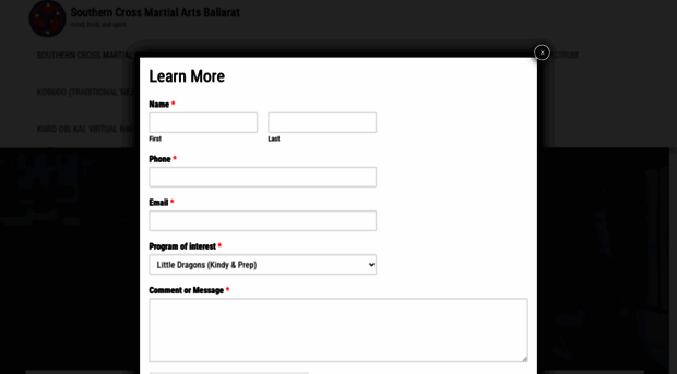 southerncrossmartialarts.com