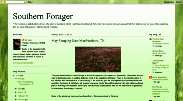 southernforager.blogspot.com