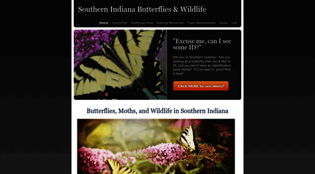 southernindianabutterflies.weebly.com