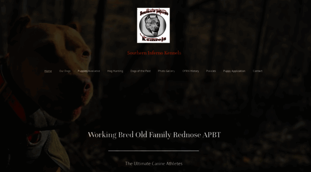 southerninfernokennels.com