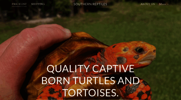 southernreptiles.net