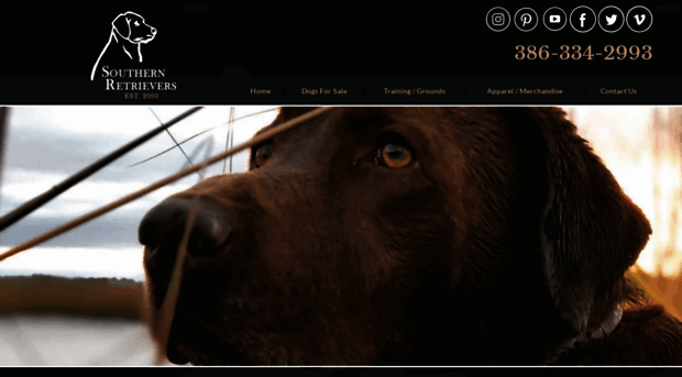 southernretrievers.com