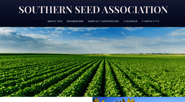 southernseed.net