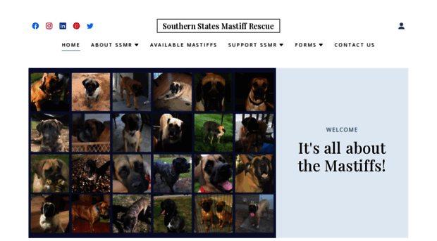 southernstatemastiffrescue.com