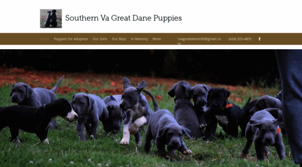 southernvagreatdanes.com