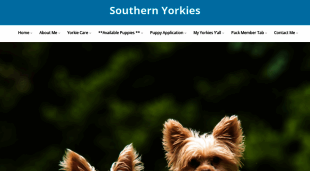 southernyorkies.com