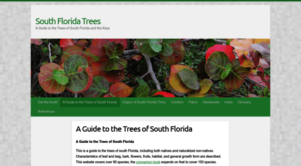 southfloridatrees.org